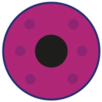 Pinke Augenfarbe