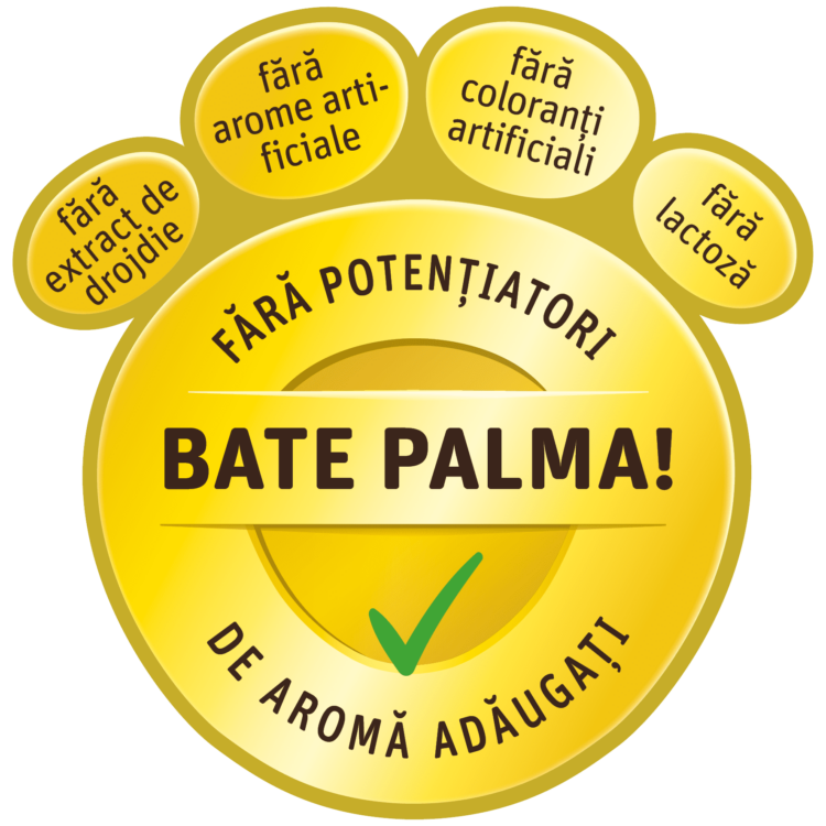 SEO Reinert Baerchen Qualitaetstatze RO v2