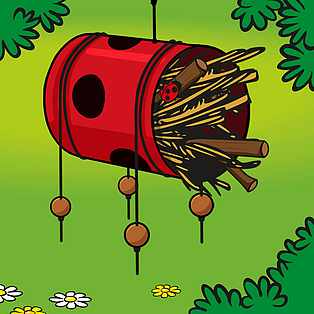 Insektenhotel-Anleitung herunterladen